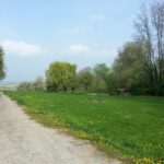 Heiliges Mitteldeutschland Kraftorte Geomantie