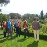 Heiliges Mitteldeutschland Kraftorte Geomantie