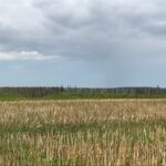 Heiliges Mitteldeutschland Kraftorte Geomantie