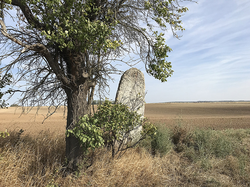 Der alte Menhir bei Feldengel