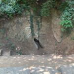 Bosnische Pyramiden Kraftorte und heilige Plätze