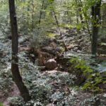 Bosnische Pyramiden Kraftorte und heilige Plätze