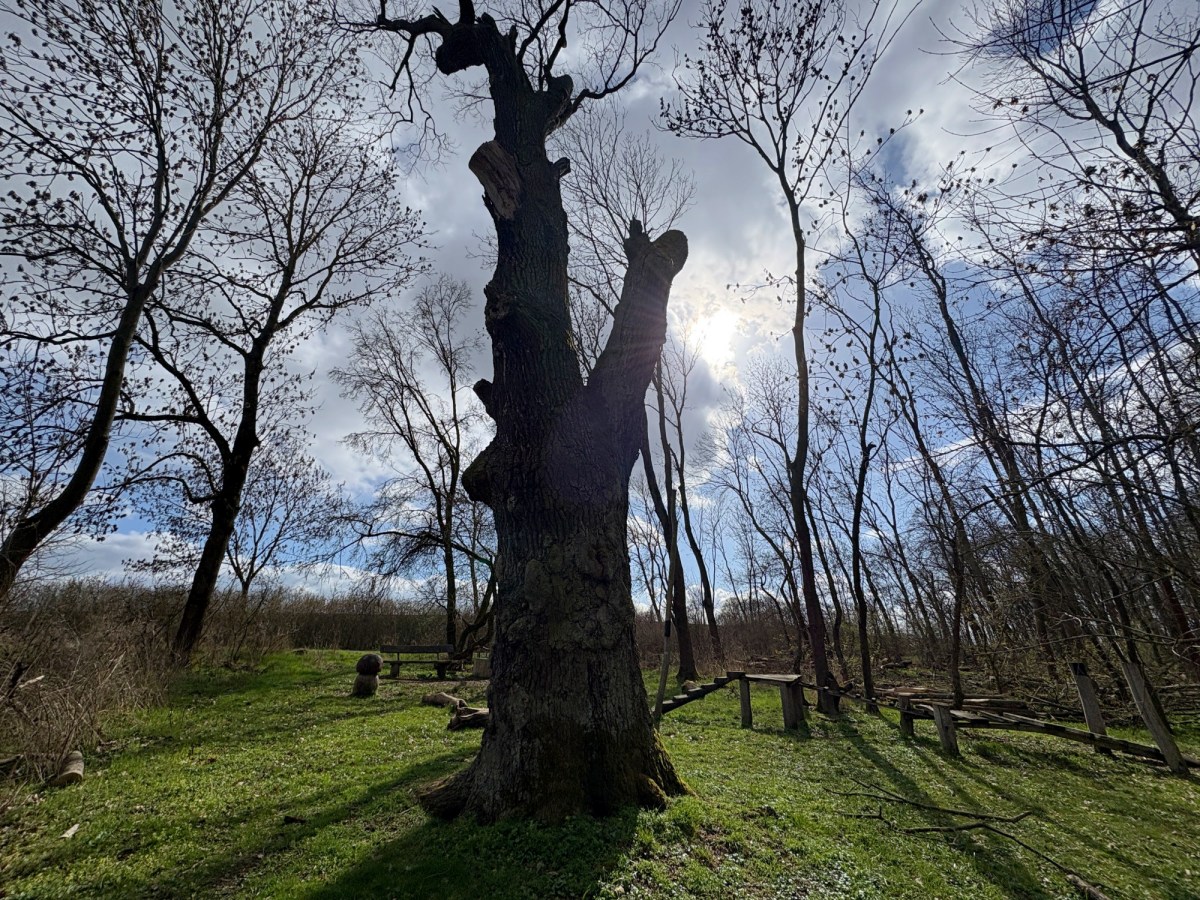 Buttstädt Seminar Geomantie