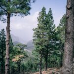 Gran Canaria spirituelle Reise zu Kraftorten