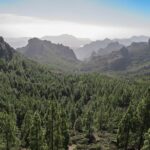 Gran Canaria spirituelle Reise zu Kraftorten