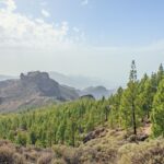 Gran Canaria spirituelle Reise zu Kraftorten
