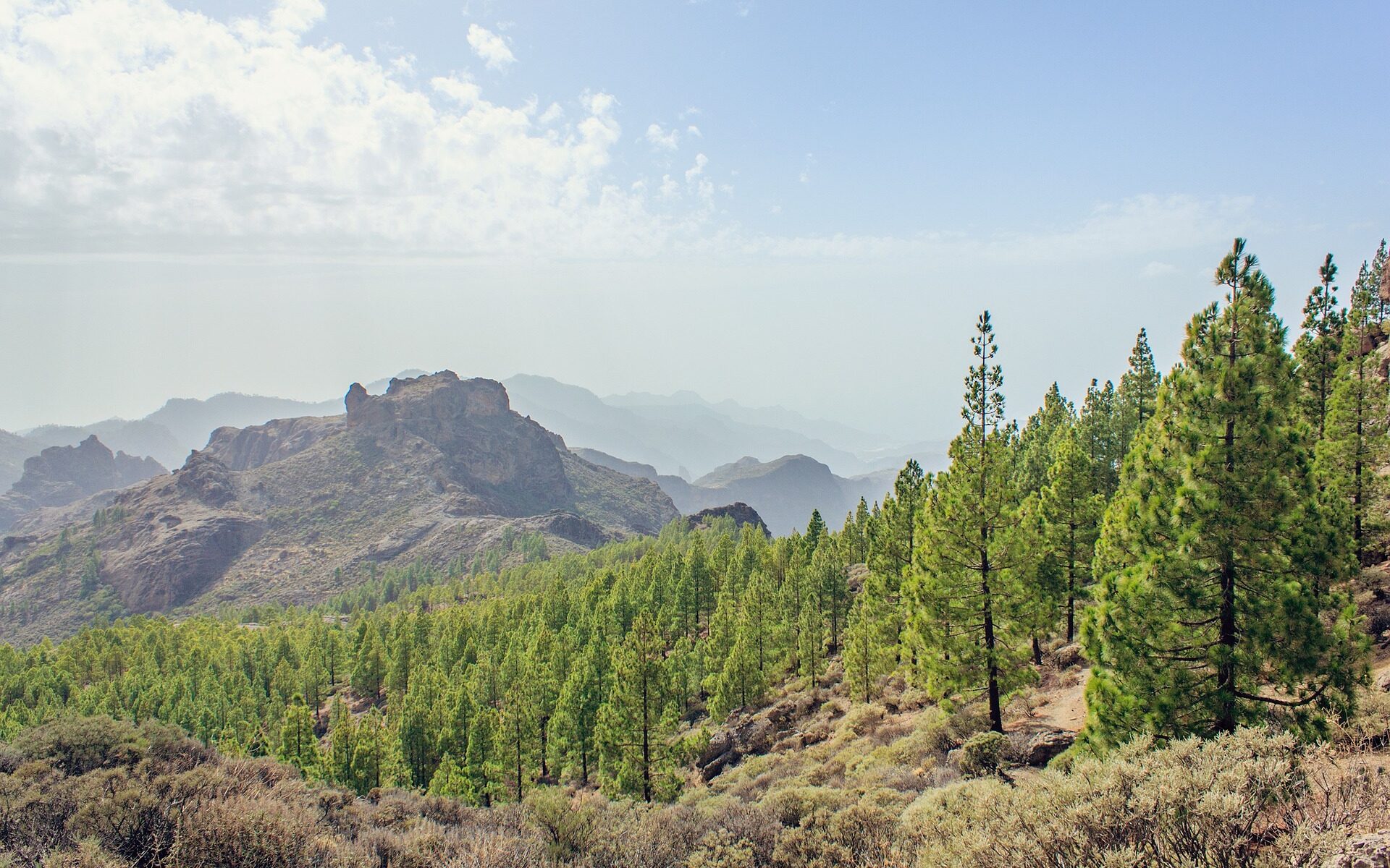 Summerstock Gran Canaria 1171713 1920